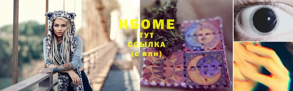 молекула духа Богородицк