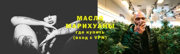 молекула духа Богородицк
