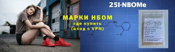 молекула духа Богородицк