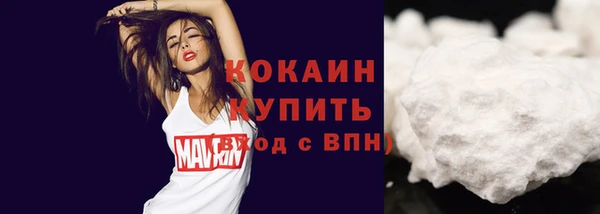 молекула духа Богородицк