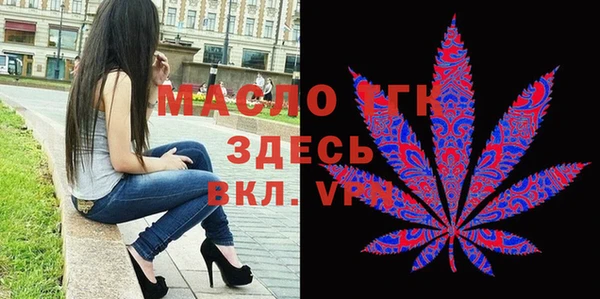 молекула духа Богородицк