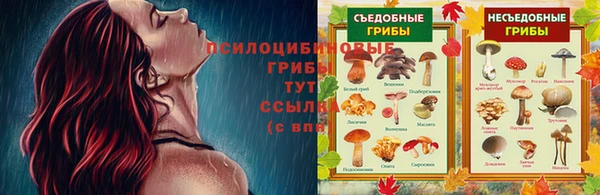 СК Богородск