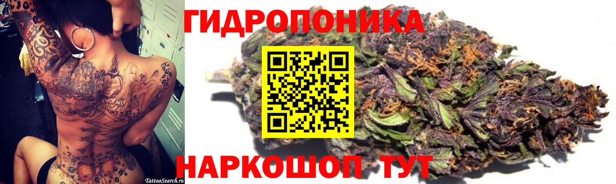 Шишки марихуана семена Улан-Удэ